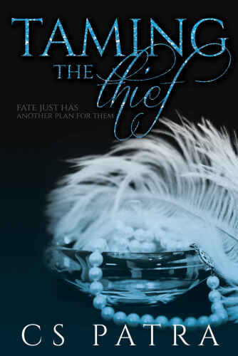 دانلود نسخه کامل کتاب Taming the Thief