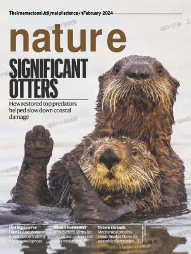 دانلود نسخه کامل کتاب Nature – The International Journal of Science / 1 February 2024