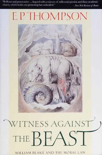 دانلود نسخه کامل کتاب Witness Against the Beast: William Blake and the Moral Law