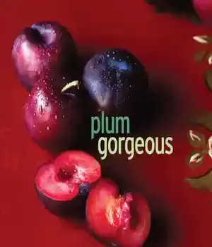 دانلود کتاب Plum Gorgeous: Recipes and Memories from the Orchard – Plum Gorgeous: Recipes and Memories from the Orchard