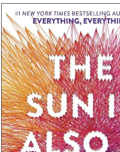 دانلود نسخه کامل کتاب The Sun Is Also a Star