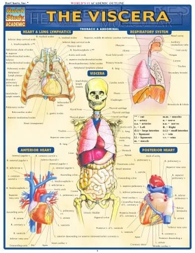 دانلود نسخه کامل کتاب Viscera Laminated Reference Guide (Quickstudy: Academic)