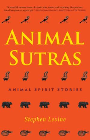 دانلود کتاب Animal Sutras: Animal Spirit Stories – Animal Sutras: Animal Spirit Stories