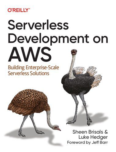 دانلود نسخه کامل کتاب Serverless Development on AWS: Building Enterprise-Scale Serverless Solutions