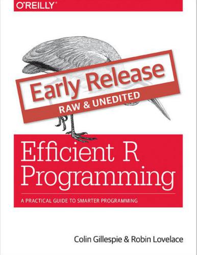 دانلود نسخه کامل کتاب Efficient R Programming: A Practical Guide to Smarter Programming