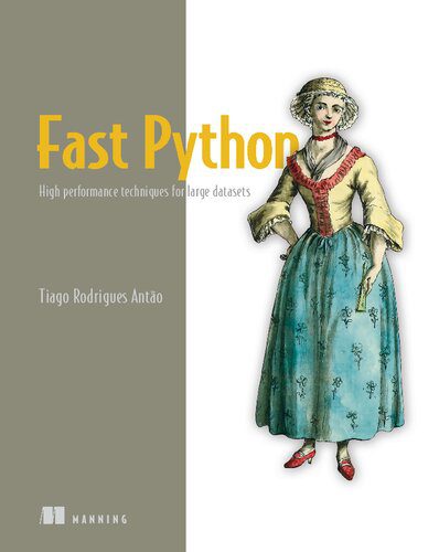دانلود نسخه کامل کتاب Fast Python: High performance techniques for large datasets