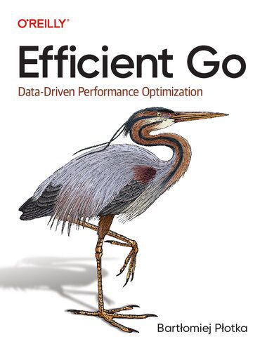 دانلود نسخه کامل کتاب Efficient Go: Data-Driven Performance Optimization