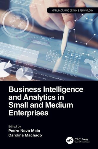 دانلود نسخه کامل کتاب Business Intelligence and Analytics in Small and Medium Enterprises