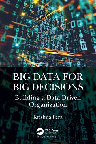 دانلود نسخه کامل کتاب Big Data for Big Decisions: Building a Data-Driven Organization