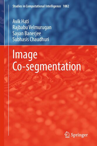 دانلود نسخه کامل کتاب Image Co-segmentation
