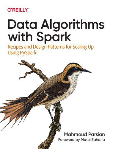 دانلود نسخه کامل کتاب Data Algorithms with Spark: Recipes and Design Patterns for Scaling Up using PySpark