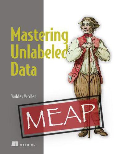 دانلود نسخه کامل کتاب Mastering Unlabeled Data – MEAP V06