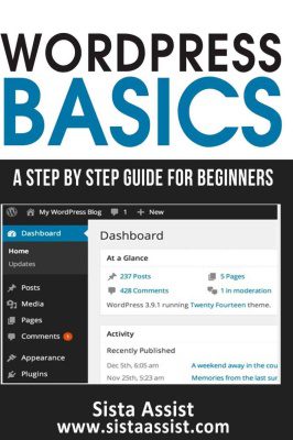 دانلود نسخه کامل کتاب WordPress Basics: A Step By Step Guide For Beginners
