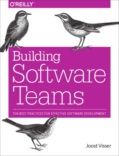 دانلود نسخه کامل کتاب Building Software Teams: Ten Best Practices for Effective Software Development