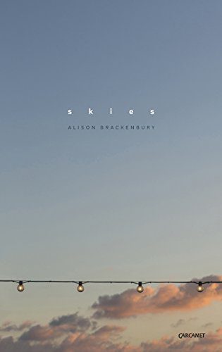دانلود نسخه کامل کتاب Skies