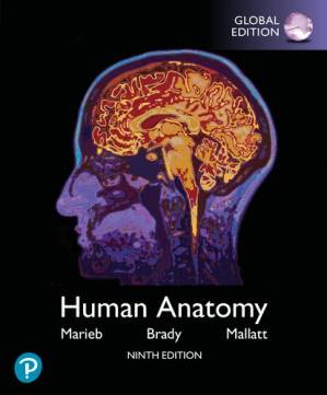 دانلود کتاب Human Anatomy, Global Edition: Marieb Human Anatomy 9 – Human Anatomy، نسخه جهانی: Marieb Human Anatomy 9