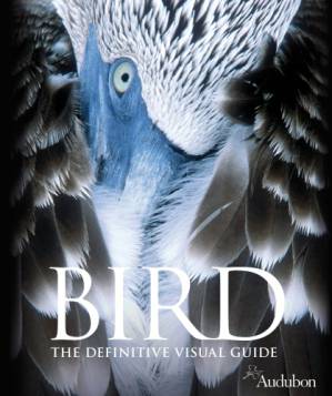 دانلود کتاب Bird: The Definitive Visual Guide – Bird: The Definitive Visual Guide
