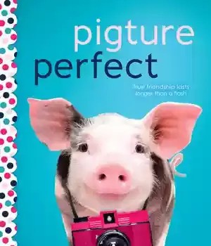 دانلود کتاب Pigture Perfect – Pigture Perfect