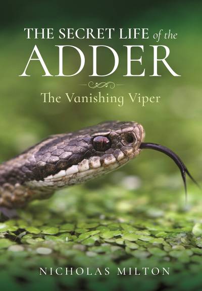 دانلود کتاب The Secret Life of the Adder: The Vanishing Viper – The Secret Life of the Adder: The Vanishing Viper