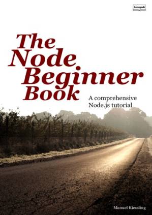 دانلود کتاب The Node Beginner Book: A Comprehensive Node.js Tutorial – The Node Beginner Book: A Comprehensive Node.js Tutorial