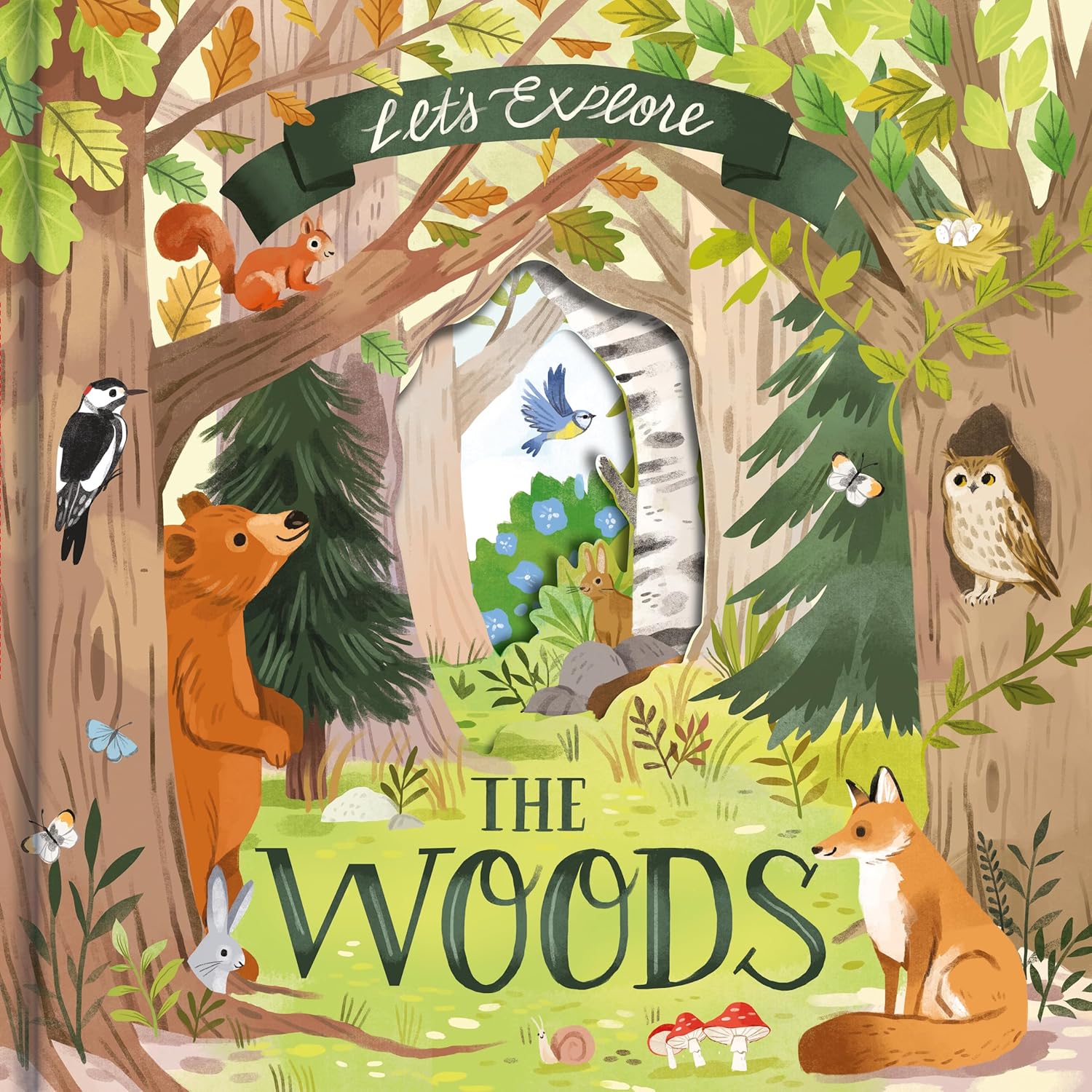 کتاب Let's Explore the Woods