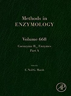 دانلود کتاب B12 Enzymes (Volume 668) (Methods in Enzymology, Volume 668)