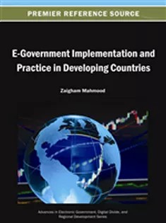 دانلود کتاب E-Government Implementation and Practice in Developing Countries