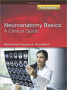دانلود کتاب Neuroanatomy Basics: A Clinical Guide