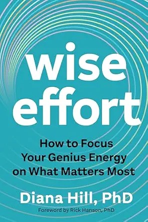 دانلود نسخه کامل کتاب زبان اصلی Wise Effort: How to Focus Your Genius Energy on What Matters Most