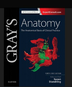 دانلود کتاب Grays Anatomy-41 E