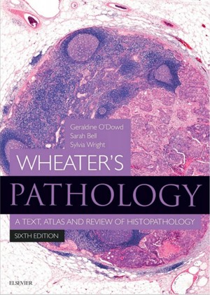 دانلود کتاب Wheater’s Pathology
