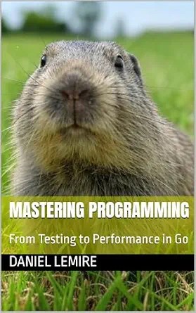 دانلود نسخه کامل کتاب Mastering Programming: From Testing to Performance in Go