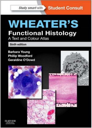 دانلود کتاب Wheater’s Functional Histology A Text and Colour Atlas 6E