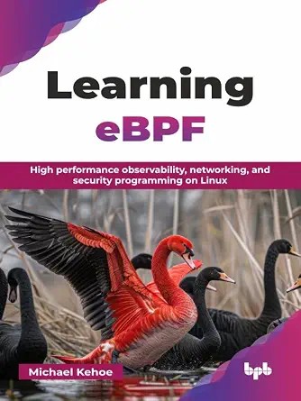 دانلود نسخه کامل کتاب Learning eBPF: High performance observability, networking, and security programming on Linux (English Edition)