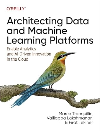دانلود نسخه کامل کتاب Architecting Data and Machine Learning Platforms: Enable Analytics and AI-Driven Innovation in the Cloud