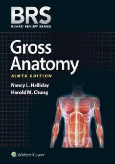 دانلود کتاب BRS Gross Anatomy 9th Ed