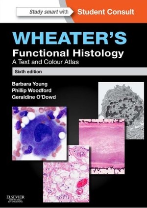 دانلود کتاب O’Dowd, Geraldine Woodford, Phillip Young, Barbara Wheater’s functional