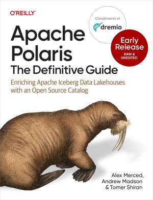 Apache Polaris: The Definitive Guide (Early Release) by Alex Merced,?Andrew Madson,?Tomer Shiran