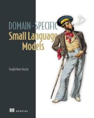 کتاب Domain-Specific Small Language Models