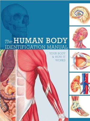 دانلود کتاب Human Body Identification Manual Your Body and How It Works