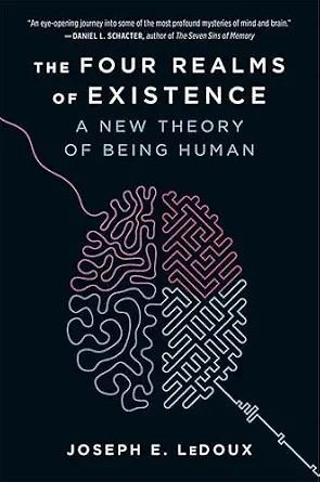 دانلود نسخه کامل کتاب The Four Realms of Existence: A New Theory of Being Human