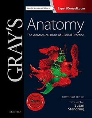 دانلود کتاب Grays Anatomy The Anatomical