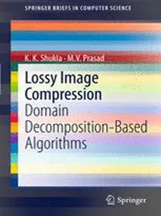 دانلود کتاب Lossy Image Compression: Domain Decomposition-Based Algorithms
