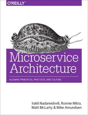 دانلود کتاب Microservice architecture