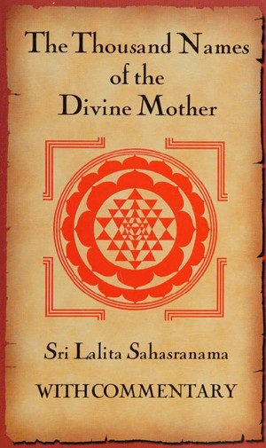 دانلود کتاب The thousand names of the divine mother