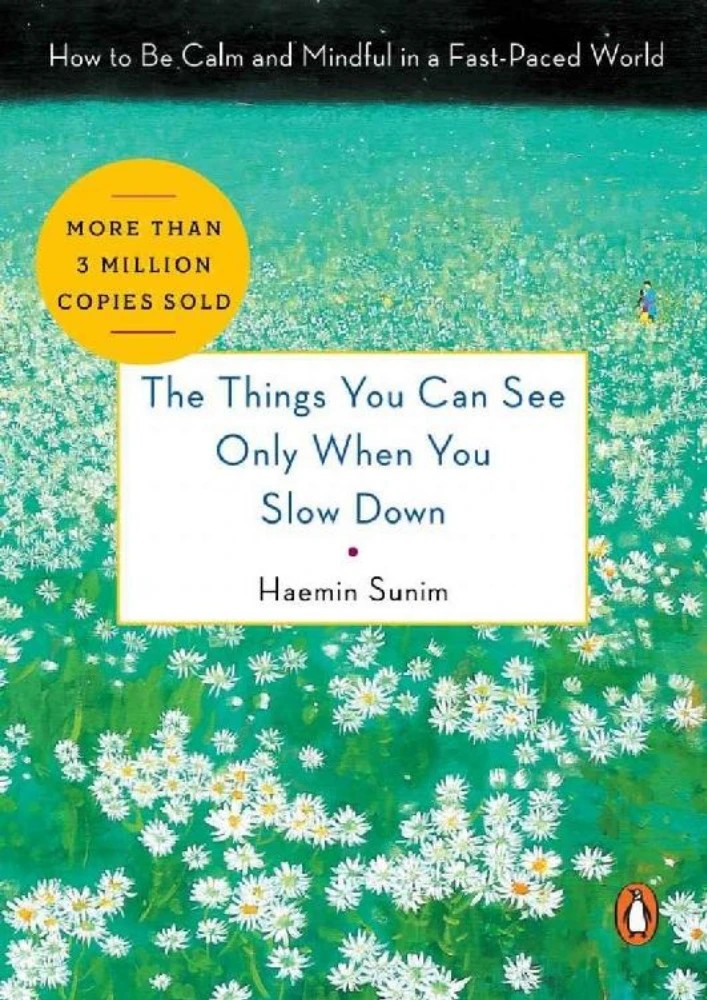 کتاب The Things You Can See Only When You Slow Down (چیزهایی که فقط وقتی آهسته می‌شوی می‌بینی) نسخه انگلیسی PDF | هائمین سونیم