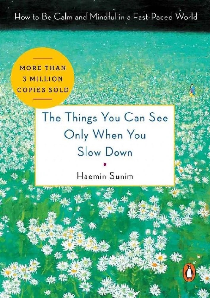 کتاب The Things You Can See Only When You Slow Down (چیزهایی که فقط وقتی آهسته حرکت می‌کنید می‌بینید) نسخه انگلیسی PDF | هائمین سونیم