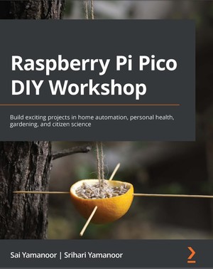 دانلود کتاب Raspberry Pi Pico DIY Workshop