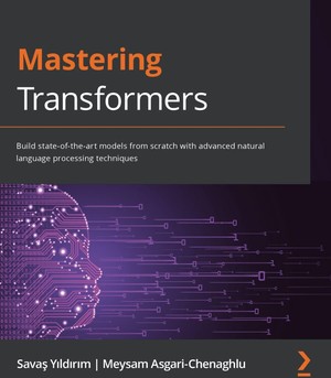 دانلود کتاب Mastering Transformers Build state of the art models from scratch