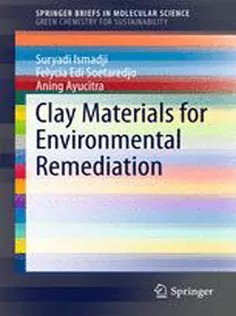 دانلود کتاب Clay Materials for Environmental Remediation